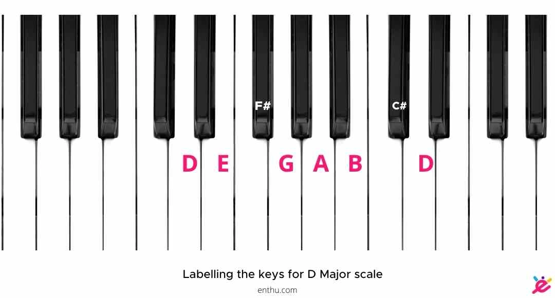 d major scale labelled