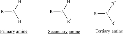 Structure of different types of Amines