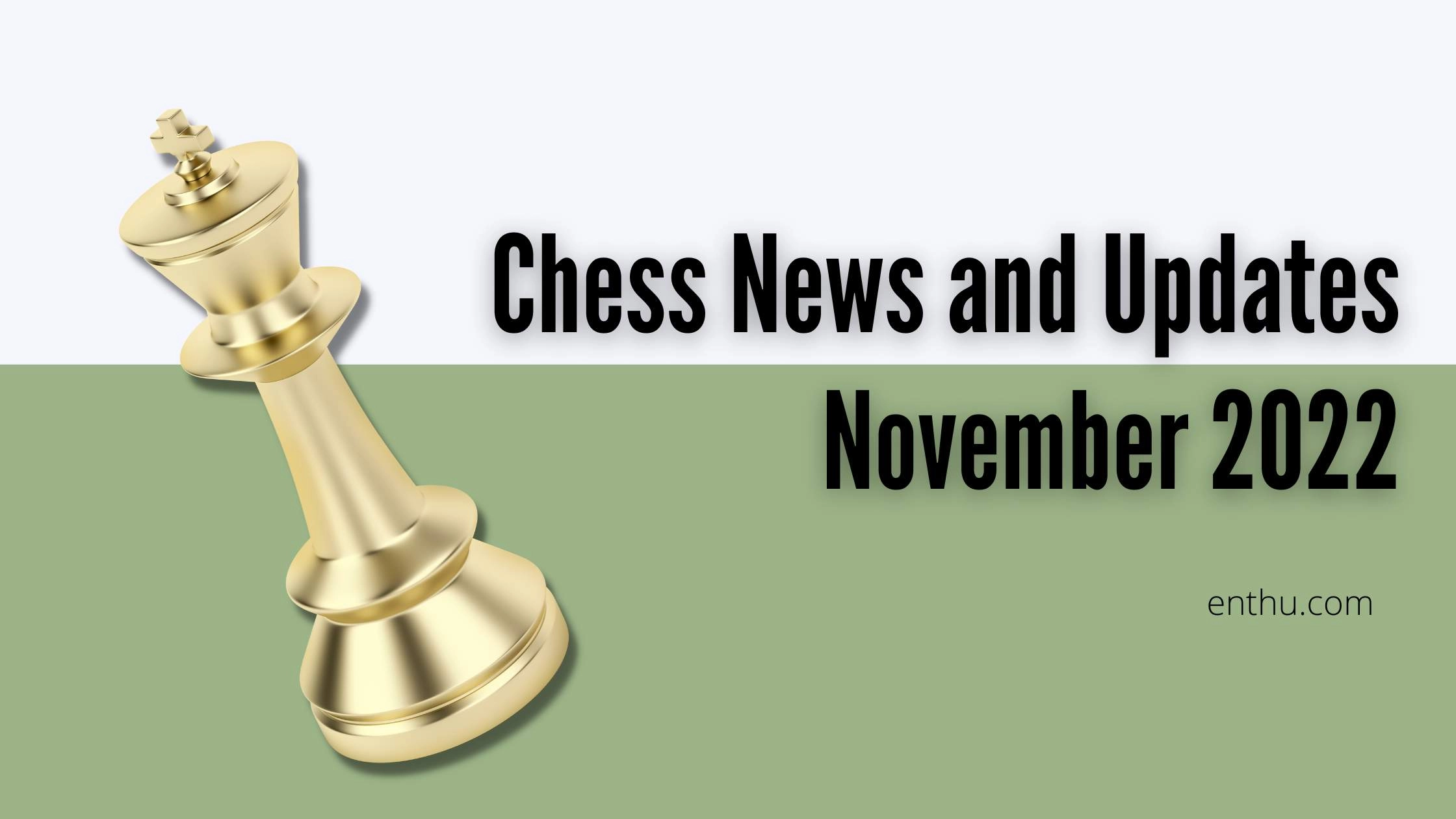 Chess Newsletter- November