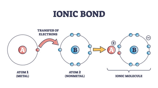 atoms in Ionic bond