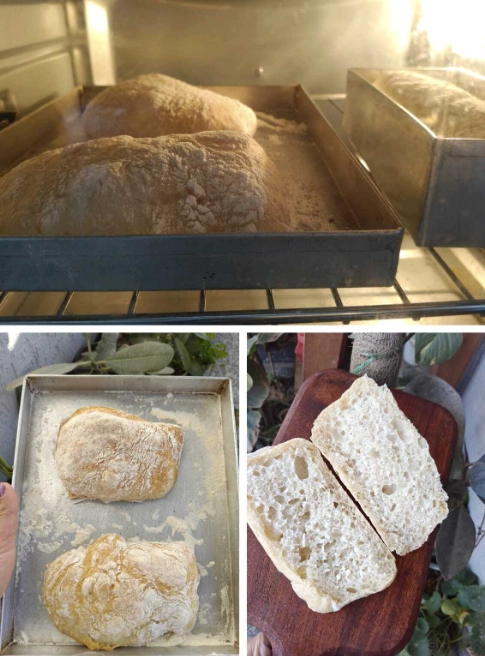 Ciabatta bread, rustic bread