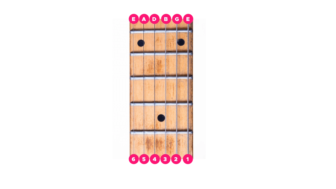 Fretboard Layout