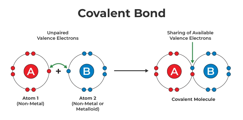 covalent bond occurs when two atoms share electrons