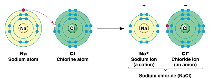 Is Salt an Element or Compound? 