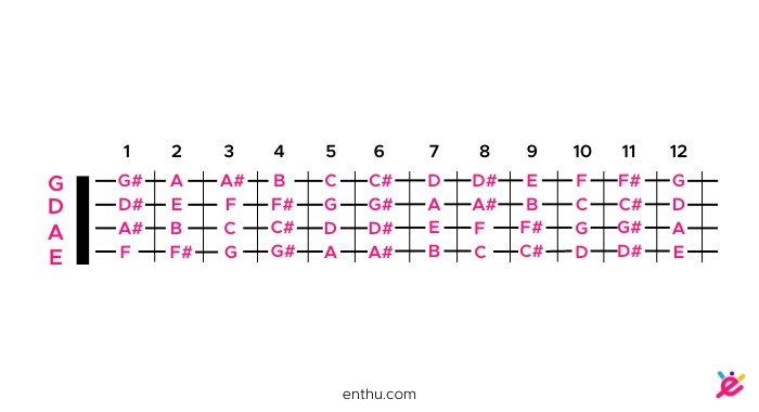 bass guitar notes