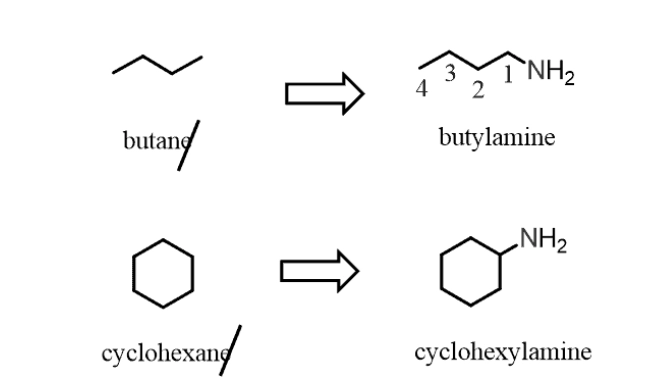 how to name amines