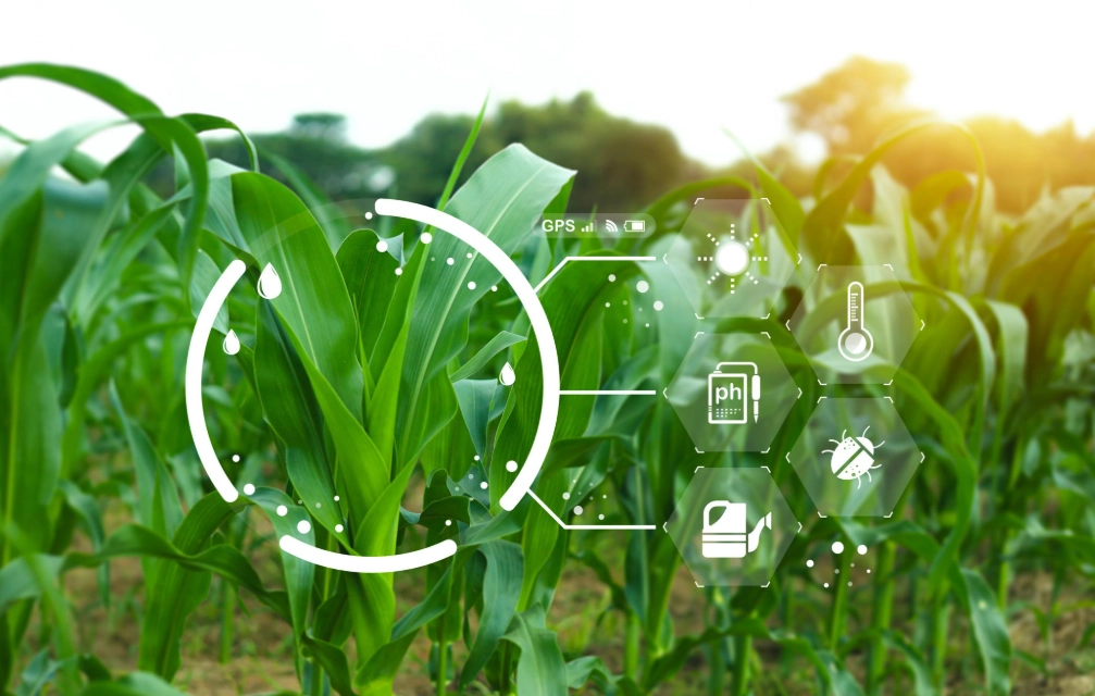 AI technology improving agriculture and healthcare in India