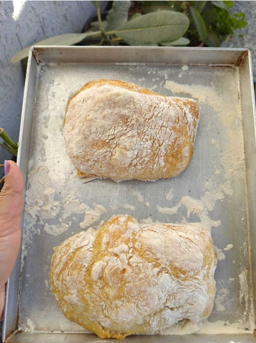 Ciabatta bread, rustic bread