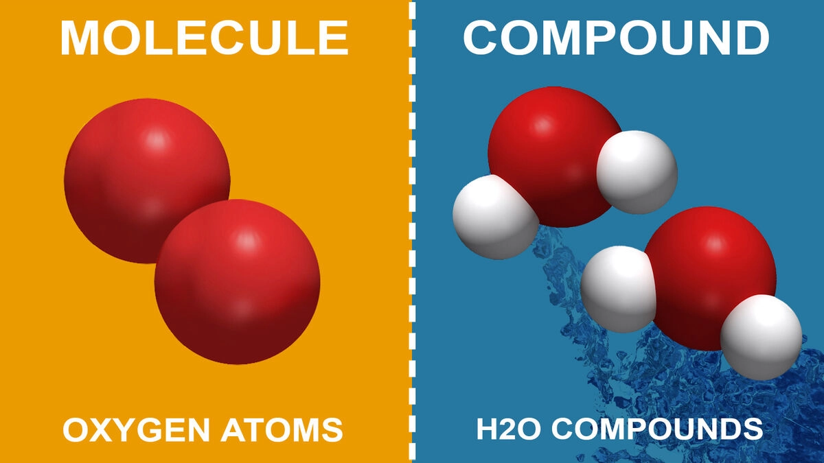 What is the Difference Between a Molecule and a Compound?