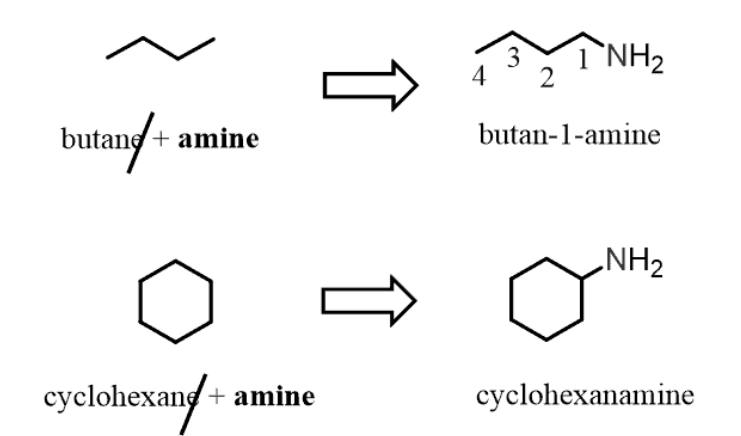 naming amines