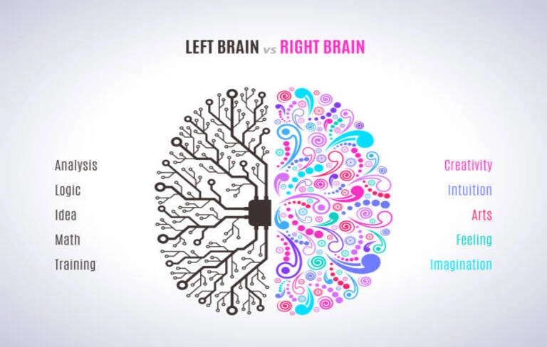 Left and right brain functions concept, analytical vs creativity