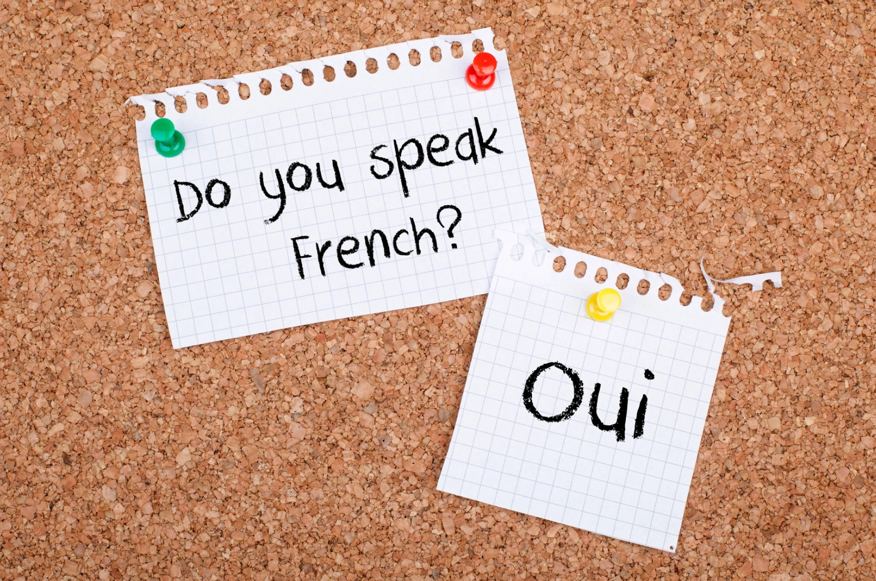 French Language