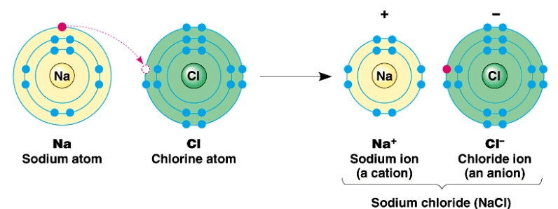 Formation of sodium chloride