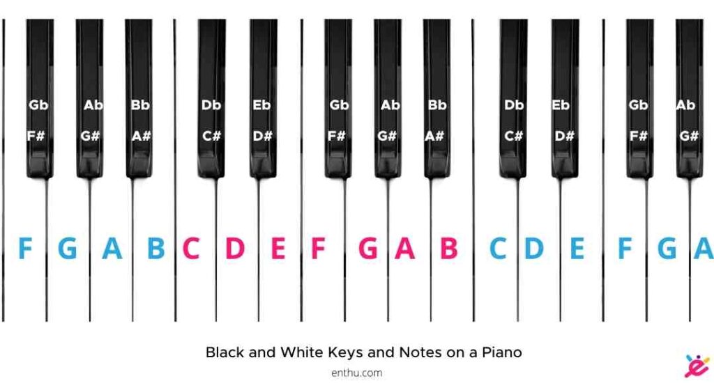 How To Label Piano Keys Pictures Included Enthuziastic 5466