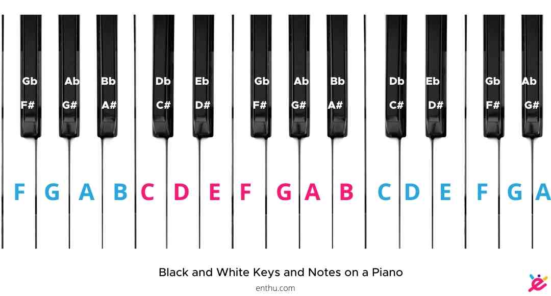 How to Label Piano Keys? [Pictures Included] EnthuZiastic