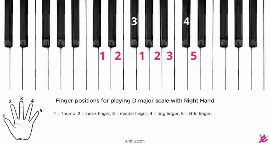 How To Label Piano Keys Pictures Included Enthuziastic 3223