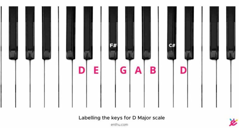 How to Label Piano Keys? [Pictures Included] - EnthuZiastic