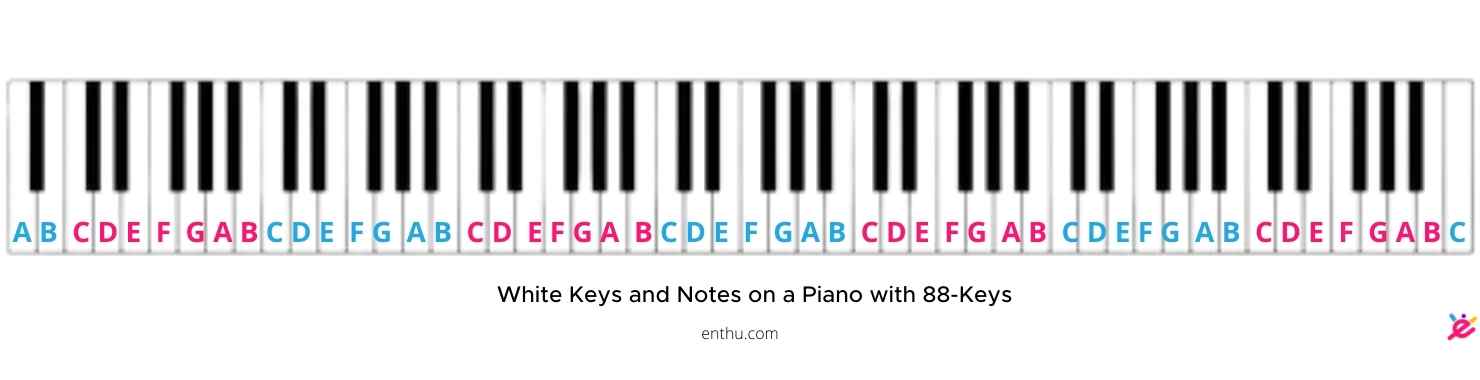 sentar Armonía Amigo por correspondencia How to Label Piano Keys? [Pictures Included] - EnthuZiastic