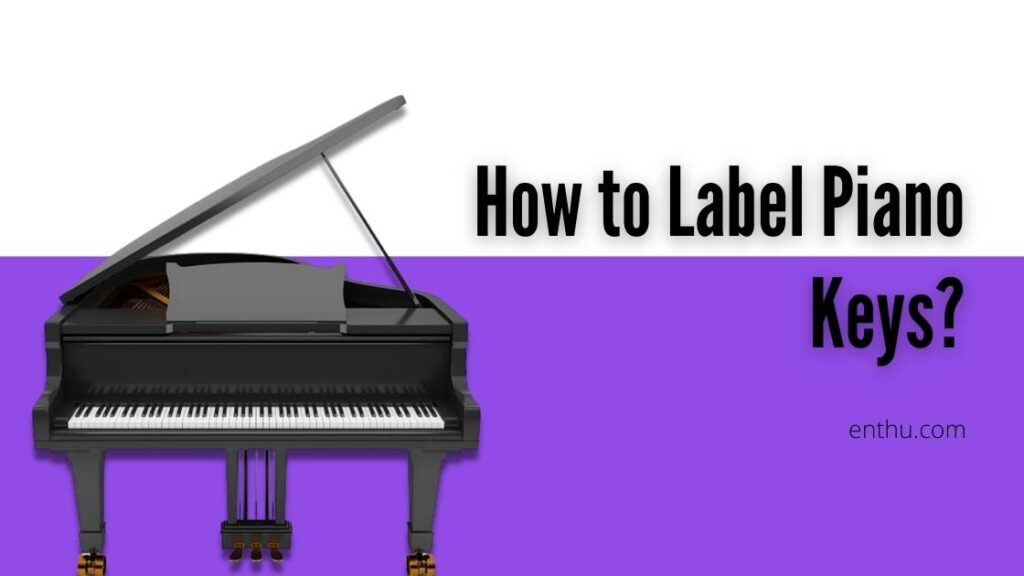 how-to-label-piano-keys-a-step-by-step-guide-vibehippo