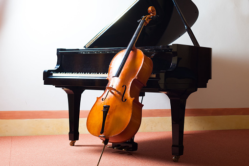 el fin decidir En la madrugada Piano Vs Violin: Which is Easier to Learn? - EnthuZiastic