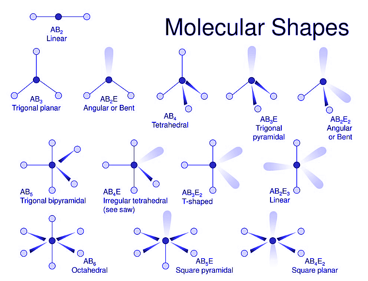 shape and structure of molecules